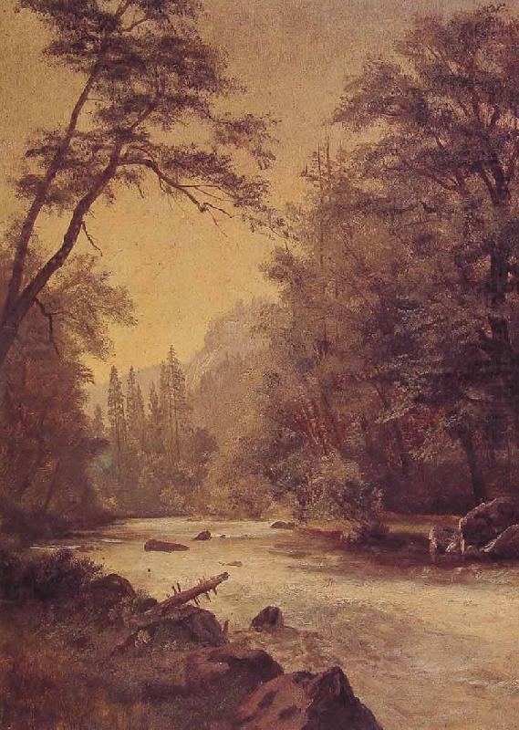 Albert Bierstadt Lower Yosemite Valley china oil painting image